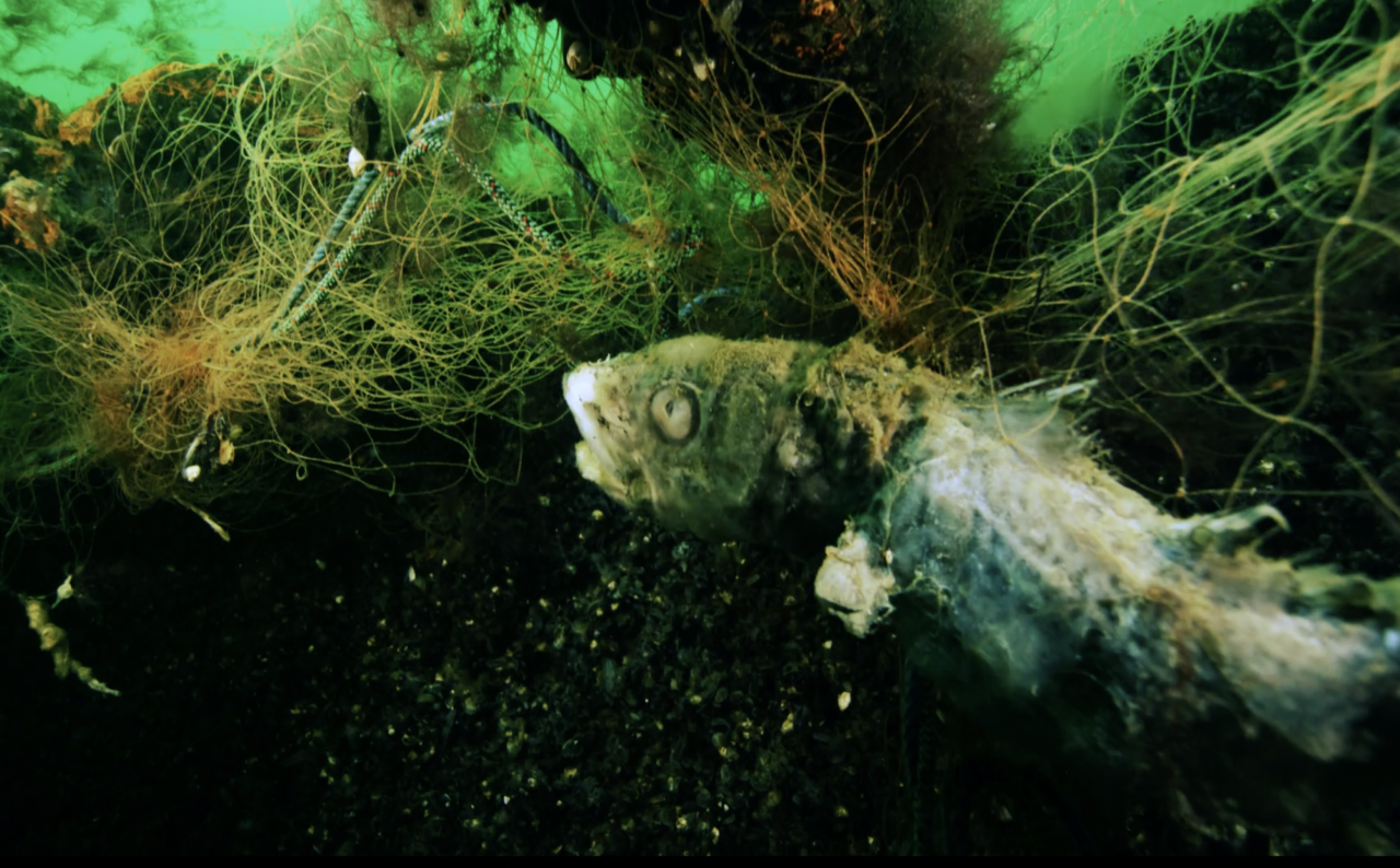 Konkurrensen under ytan