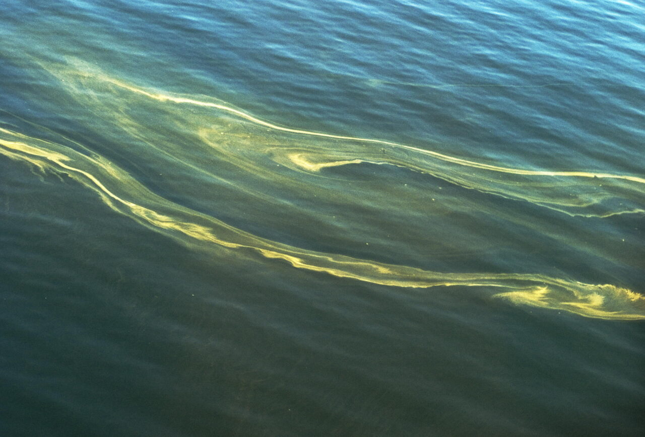 Updated Baltic Sea Action Plan