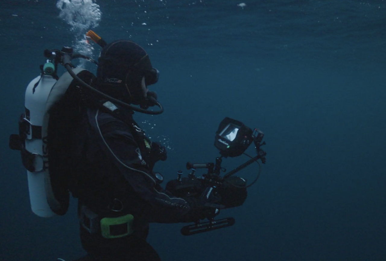 A Diver’s Diary from the Arctic Ocean: Part 3