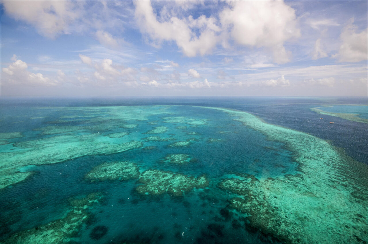 How is the Great Barrier Reef doing?