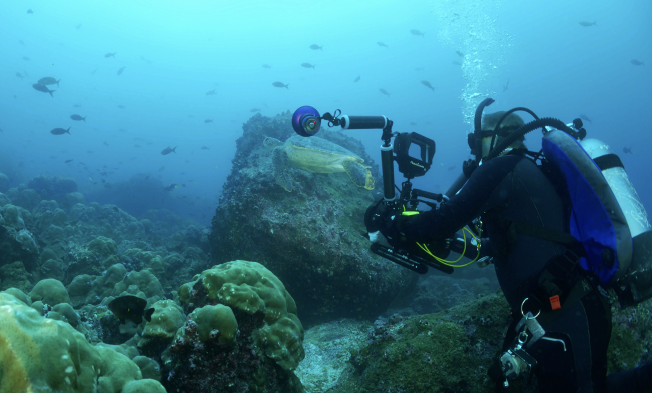Galapagos, 25 år av marint skydd