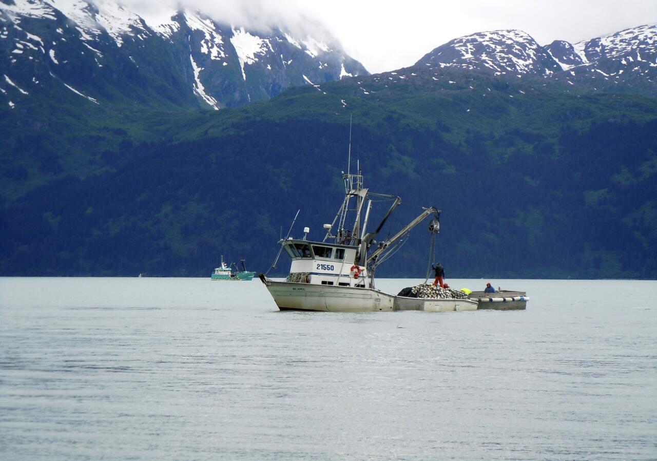 Alaska suspends crab fishing