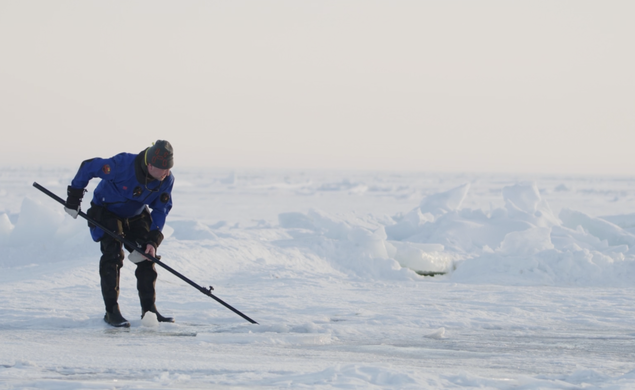 Part 1: Below the ice – in the world of seals