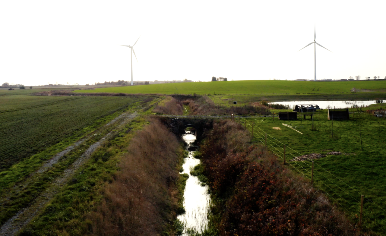 A “reborn” river