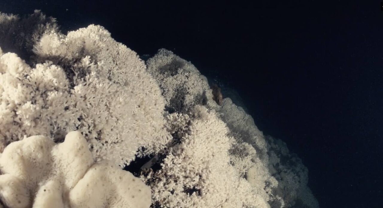 Även havet har årstider