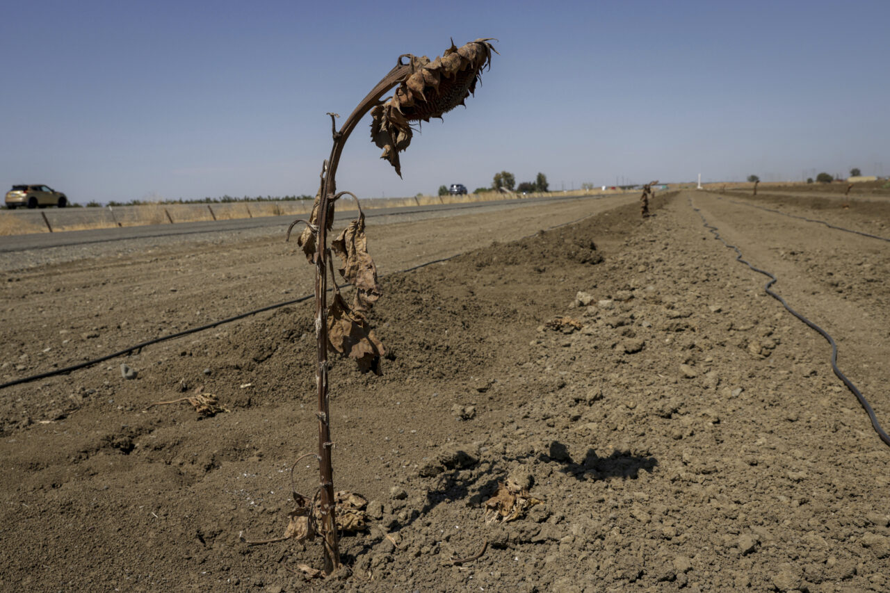 UN warns: risk of record heat