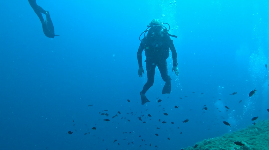 Medesöarna bevisar havets egna återhämtningskraft