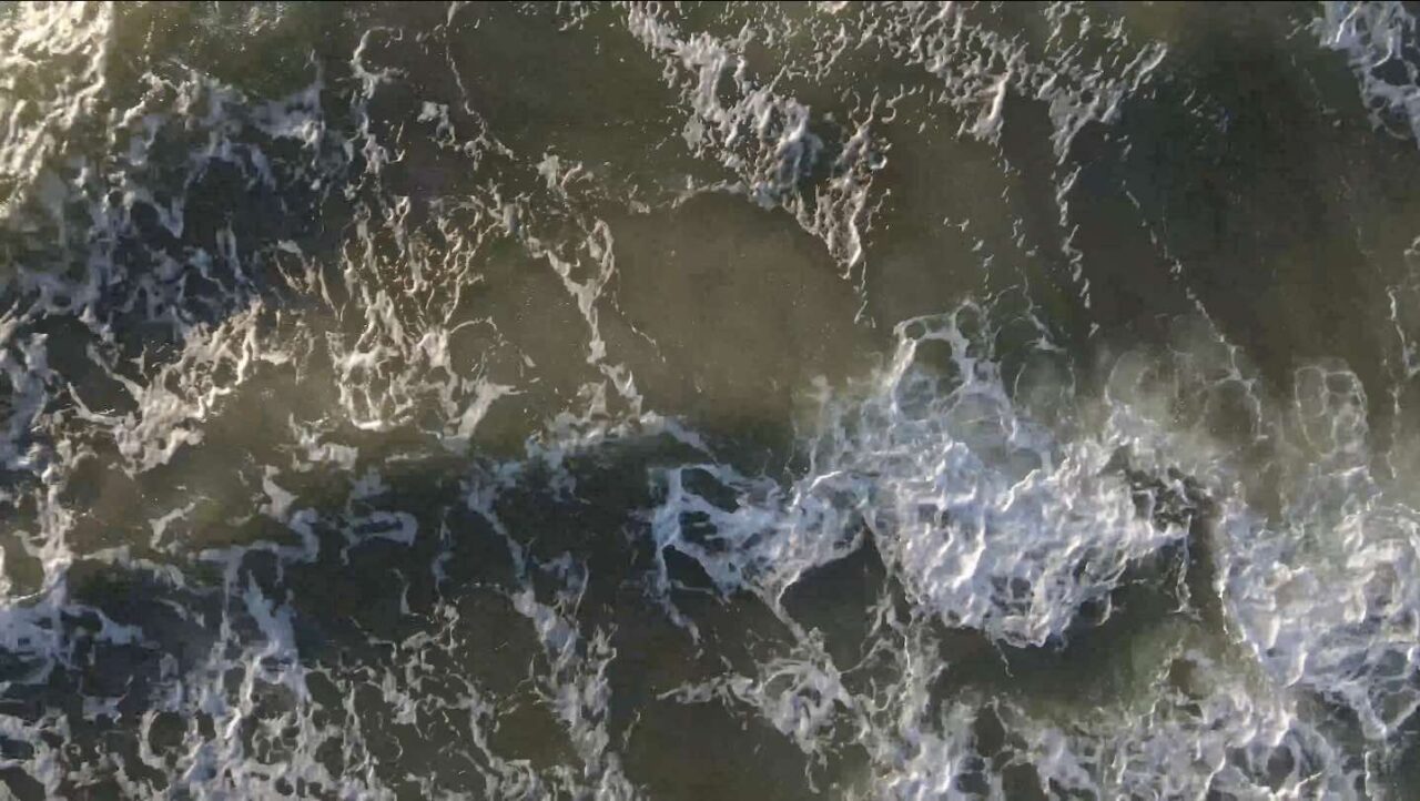 Red Light for the Baltic herring? Old news!