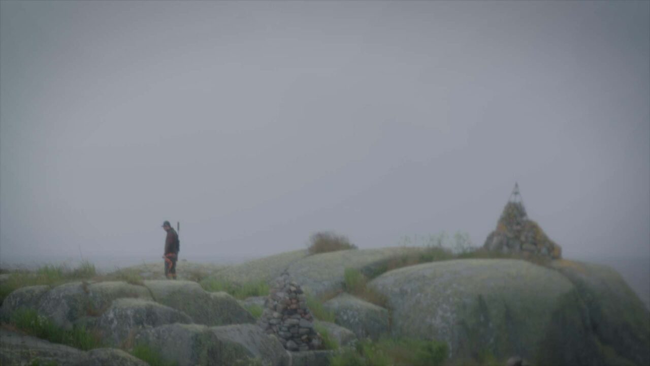 Part 1 Why do we Shoot Seals?