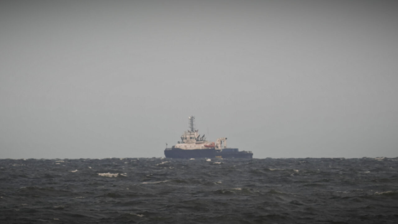 Part 3 The fish is gone, but is it the seal’s fault?