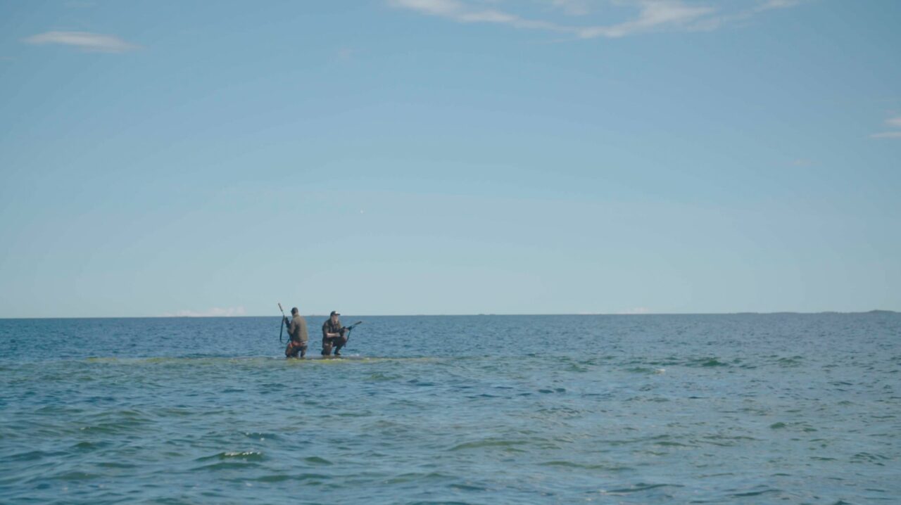 Part 4 – How Many Seals is it Possible to Shoot?