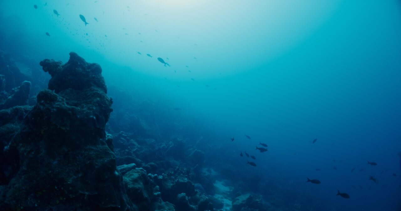 The sea – one of the most important issues in Davos