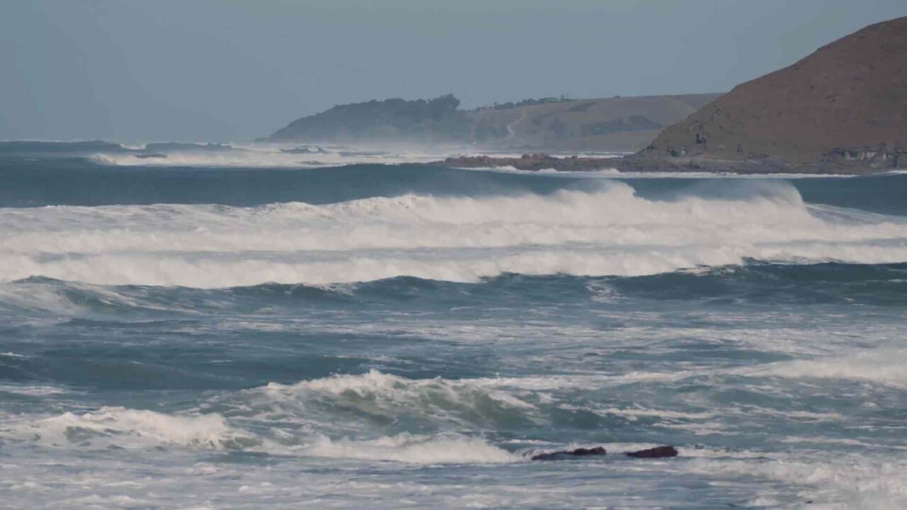 Miljövård av lokalsamhället