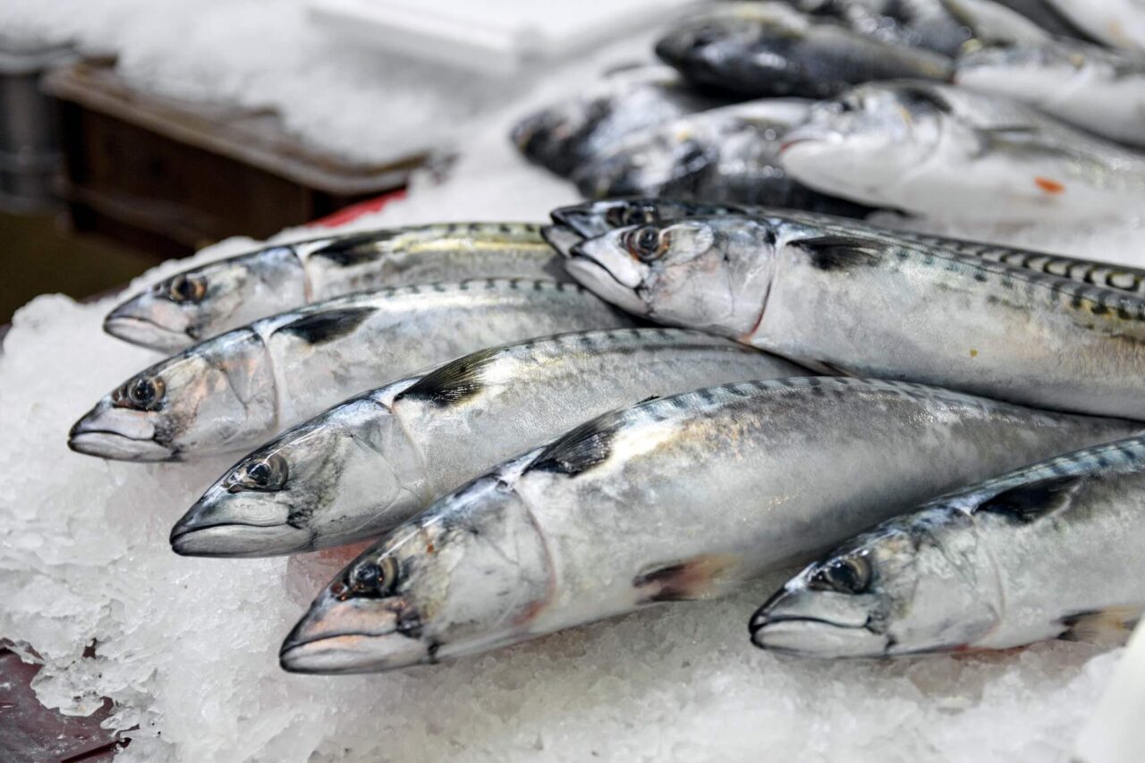 British NGO is taking the UK to court for overfishing