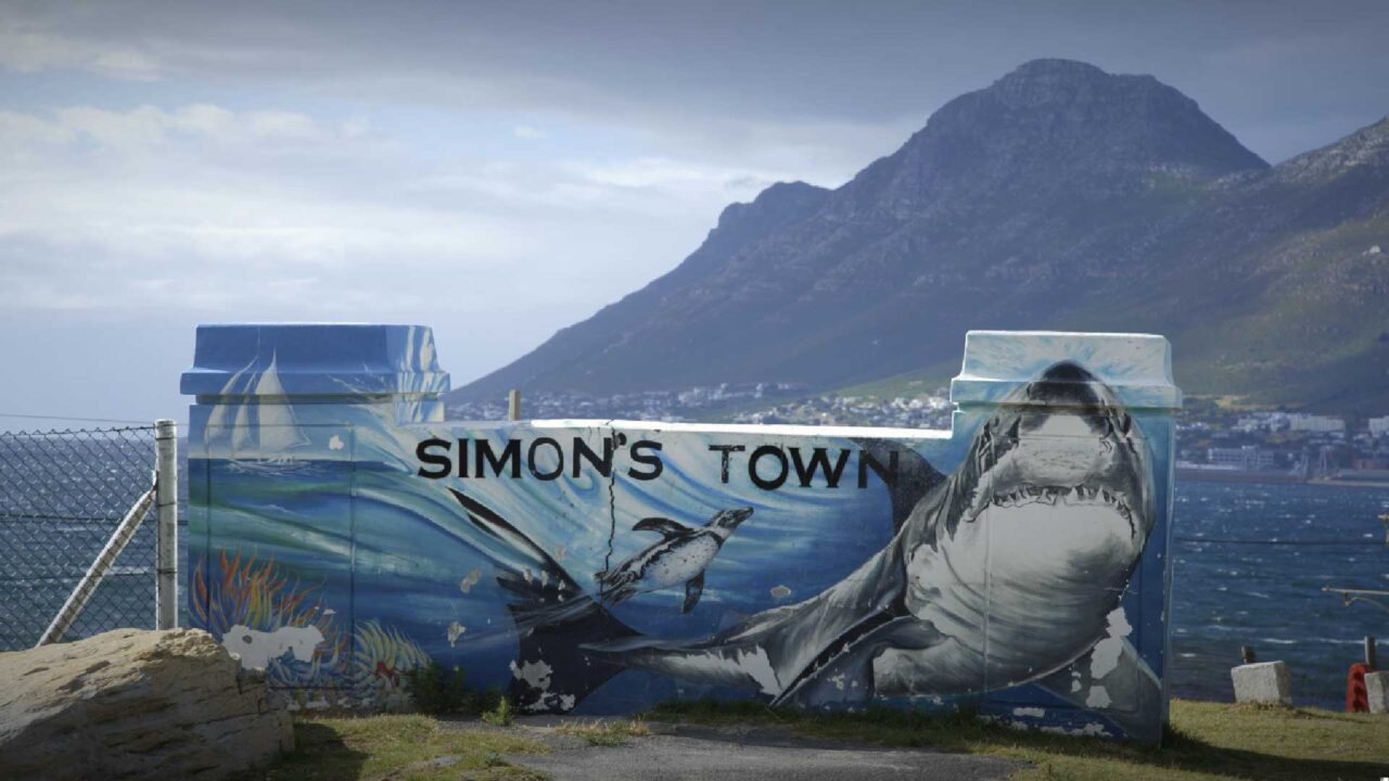 Where are the white sharks?