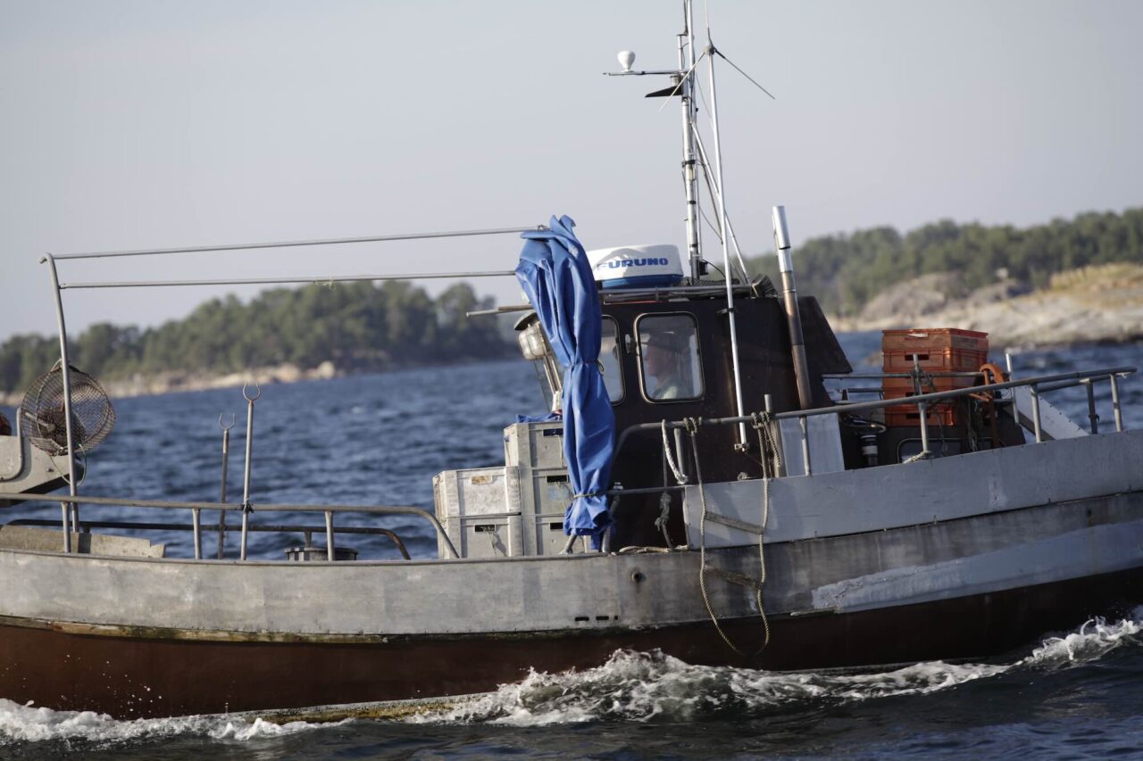 Fishing – how, when and why