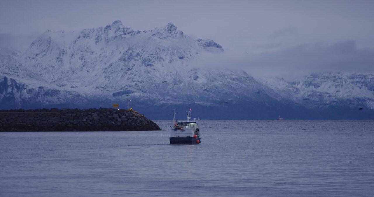 The world´s oceans – deep and unexplored