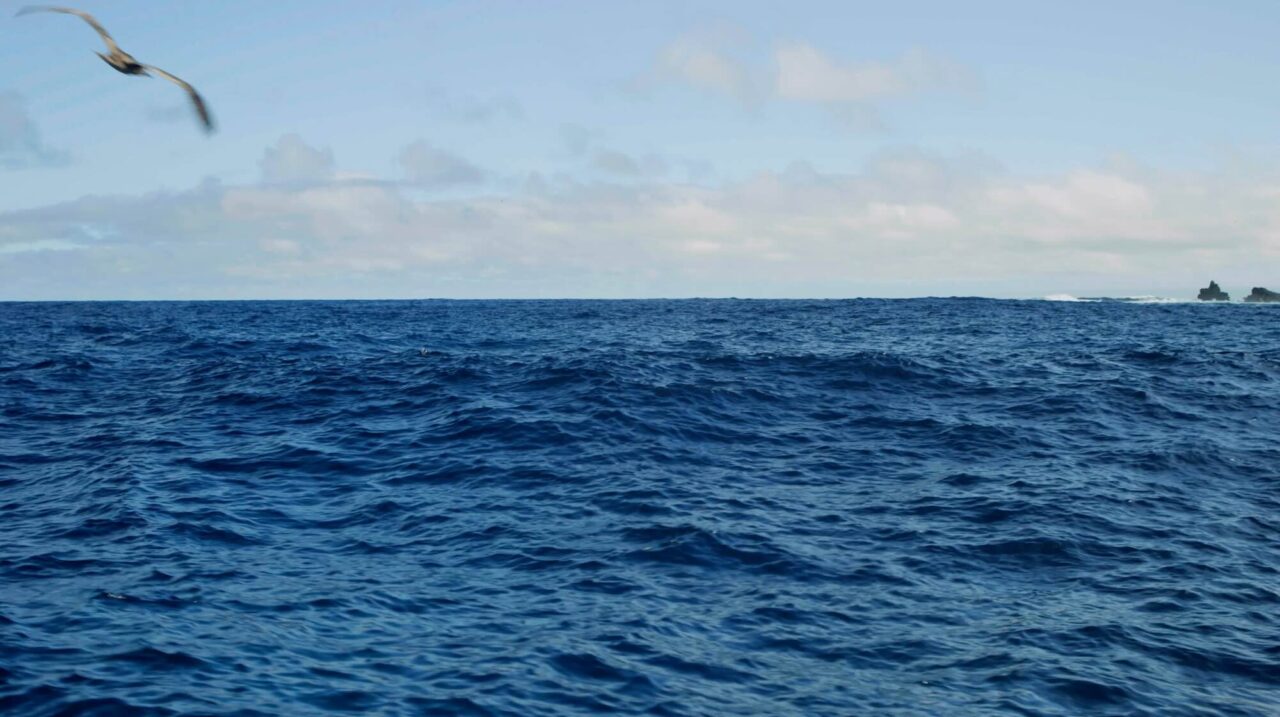 Understanding Marine Research