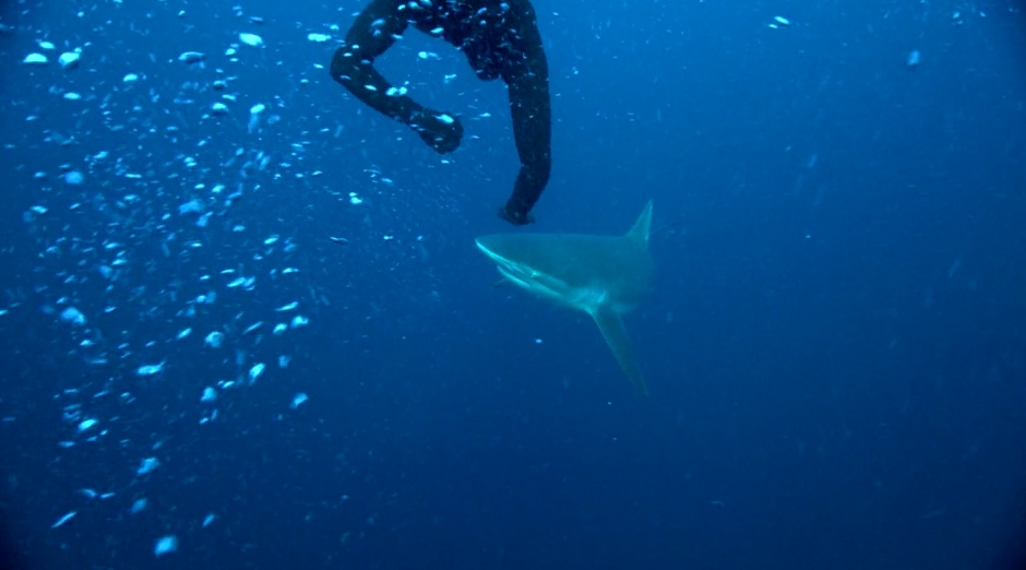 Underwater Lifeguard!