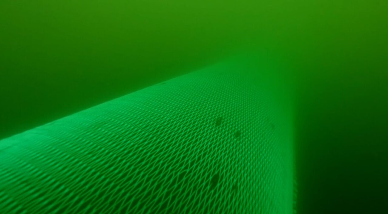 Trålstopp i Bottenhavet – fel tid och fel plats, säger forskarna