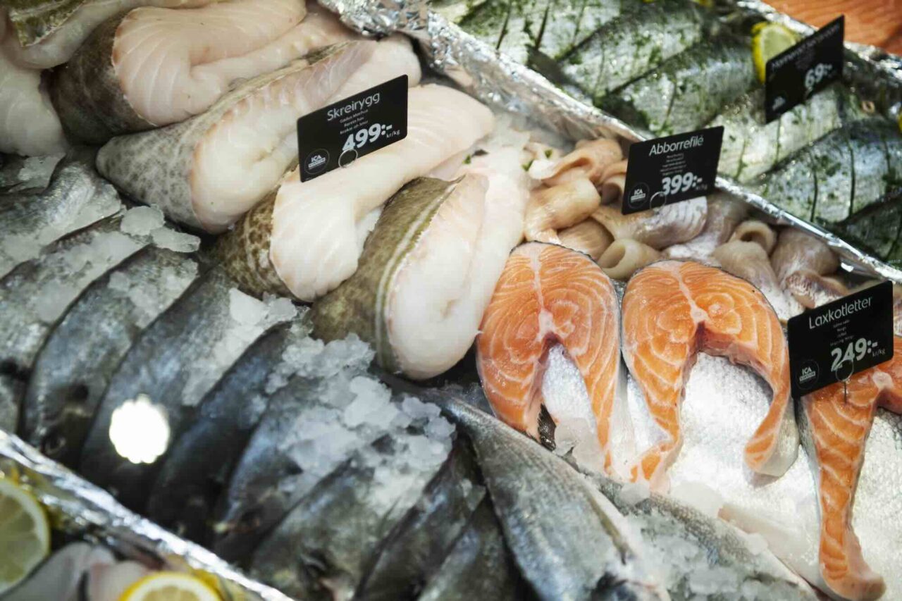 Tuff utmaning välja rätt i fiskdisken