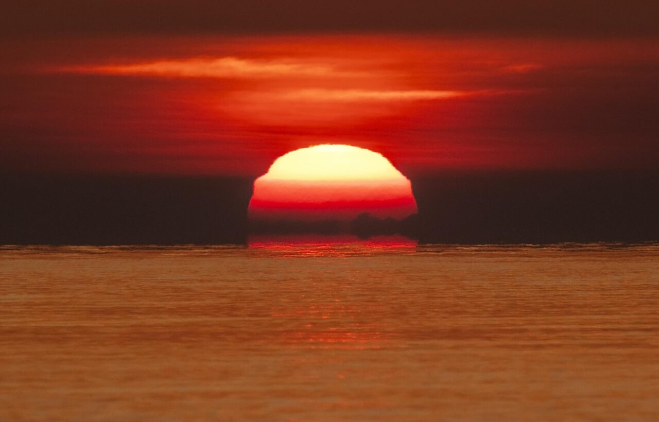 Värmebölja i Östersjön: ”Exceptionellt varmt”