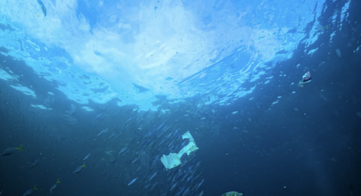 Also in Paradise – Plastic