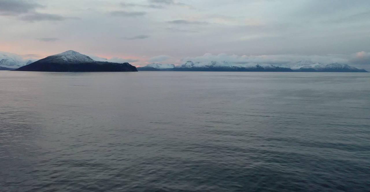 Norway Increases Whaling Quota for this Year