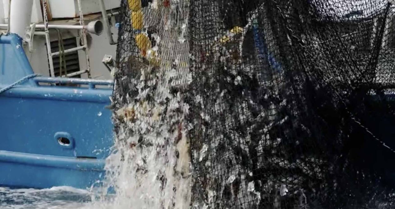 Overfishing – Threatening the Climate